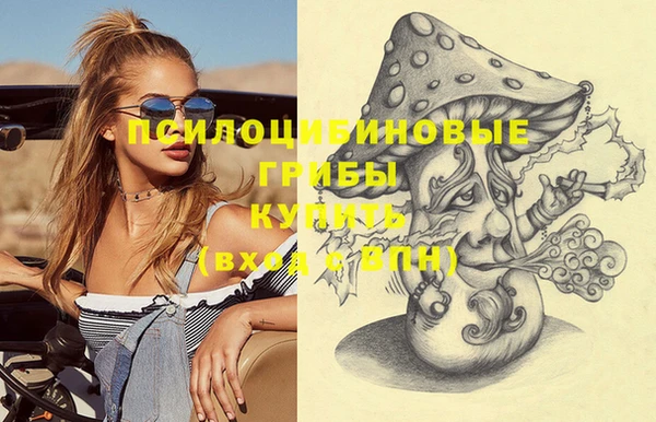 ГАЛЛЮЦИНОГЕННЫЕ ГРИБЫ Арсеньев