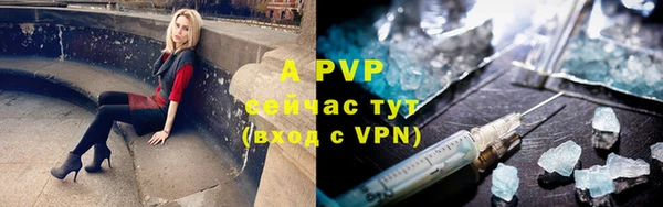 винт Елабуга