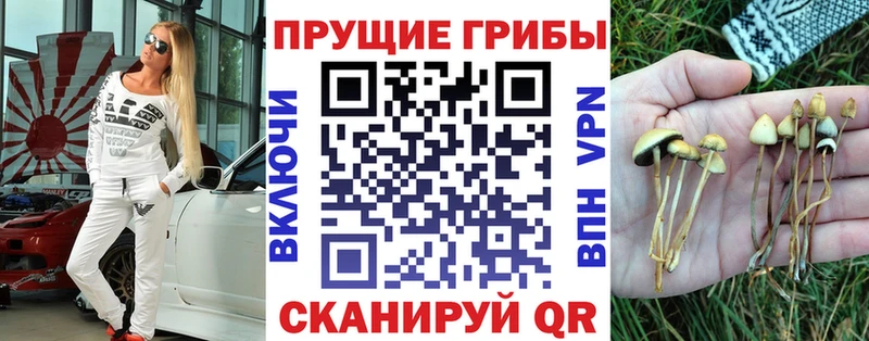 закладки  Ржев  Галлюциногенные грибы Cubensis 